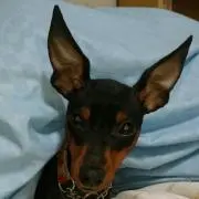 幸平