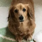 Hiroちゃん