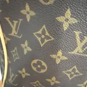 龍の画像