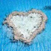 ♡MAHALO♡