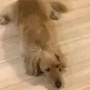 Y.K
