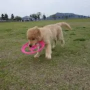 nmkiの画像