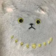 ウィッシュの画像