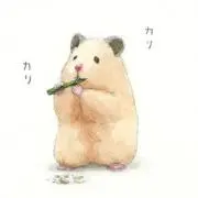 ピティミーの画像