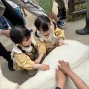 Naの画像