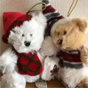 みーこの画像