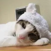 ひなせ❇︎値下げ不可、プロフ一読必須