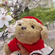 パンちゃん