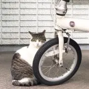 エイミー