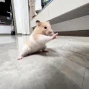 @_@の画像