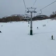 SHの画像