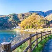 rikの画像