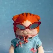 ぽちゃる丸。の画像
