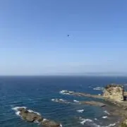 メルの画像