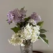 シフォン