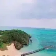 ももの画像
