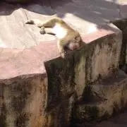 まっつーじ