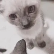 えみり