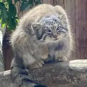 おーえすの画像