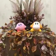 ゆうこの画像