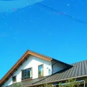 デルフィニウム