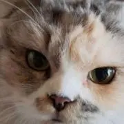 YUUKICHIの画像