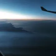 きなこの画像
