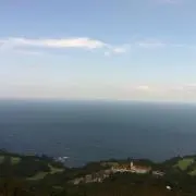 しろくん！の画像