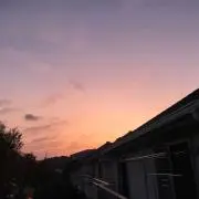 ハイジさん