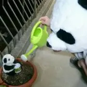 おおやま とみこ