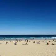 maacoの画像
