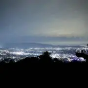 りんの画像