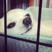 チャーユー(°▽°)