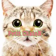 Petit_ChatoN