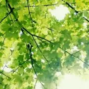 Beryyberryの画像