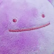 ゆぺの画像