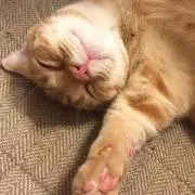 Ukkiiiの画像