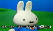るかの画像