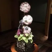 ゆみの画像