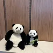 うららの画像