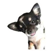 ユウタ