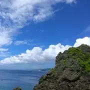 Brillerの画像