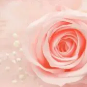ちろるん