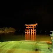 キャシの画像