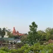 りーの画像