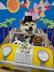 もんきーの画像