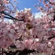 momoyama♻️値下げ依頼プロフ必読の画像