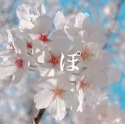 ぽたの画像