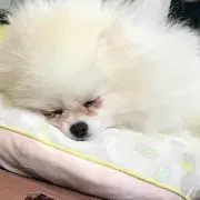 みき