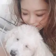 Mei☆の画像